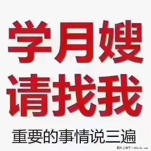 为什么要学习月嫂,育婴师? - 其他广告 - 广告专区 - 阿克苏分类信息 - 阿克苏28生活网 aks.28life.com