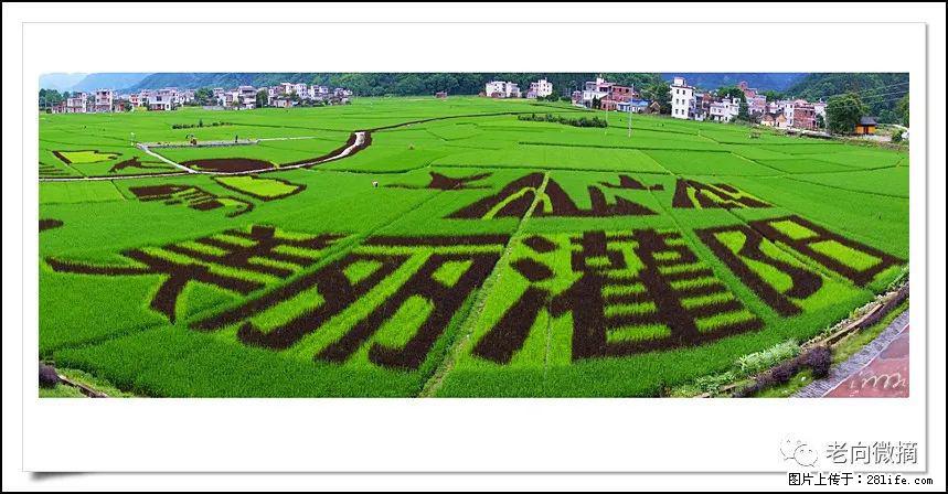 【春天，广西桂林灌阳县向您发出邀请！】开篇 - 游山玩水 - 阿克苏生活社区 - 阿克苏28生活网 aks.28life.com