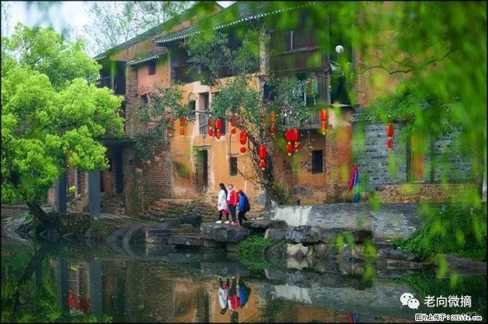 【春天，广西桂林灌阳县向您发出邀请！】江口老街又逢春 - 游山玩水 - 阿克苏生活社区 - 阿克苏28生活网 aks.28life.com