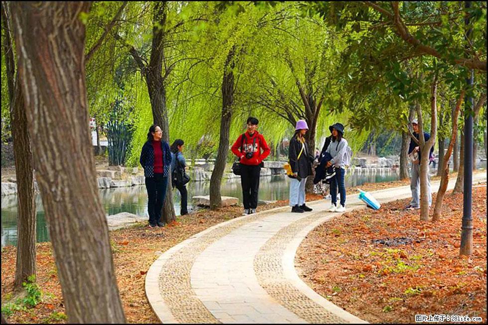 【春天，广西桂林灌阳县向您发出邀请！】江口老街又逢春 - 游山玩水 - 阿克苏生活社区 - 阿克苏28生活网 aks.28life.com