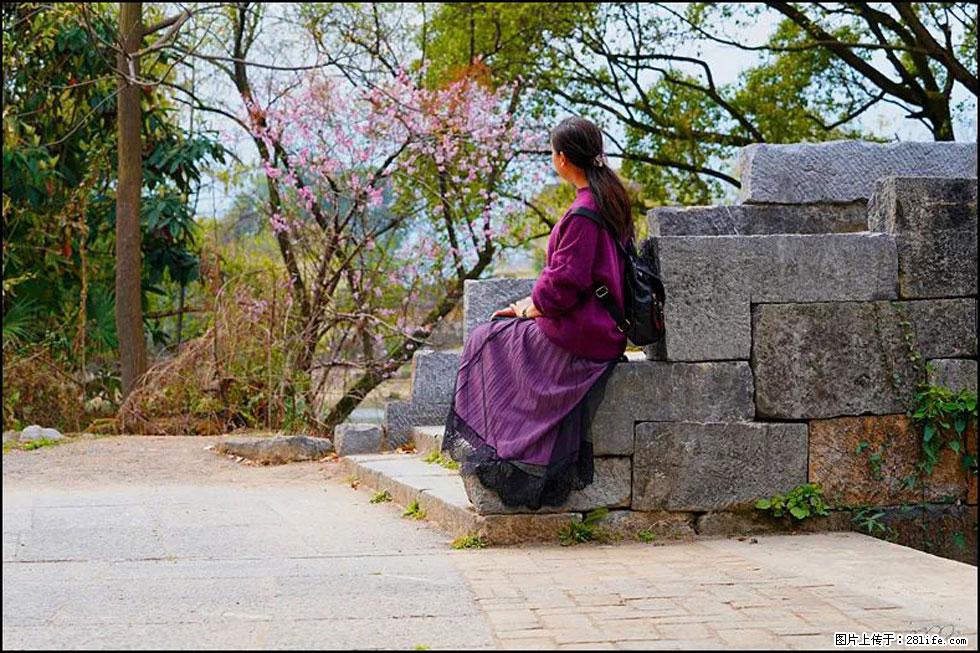 【春天，广西桂林灌阳县向您发出邀请！】江口老街又逢春 - 游山玩水 - 阿克苏生活社区 - 阿克苏28生活网 aks.28life.com