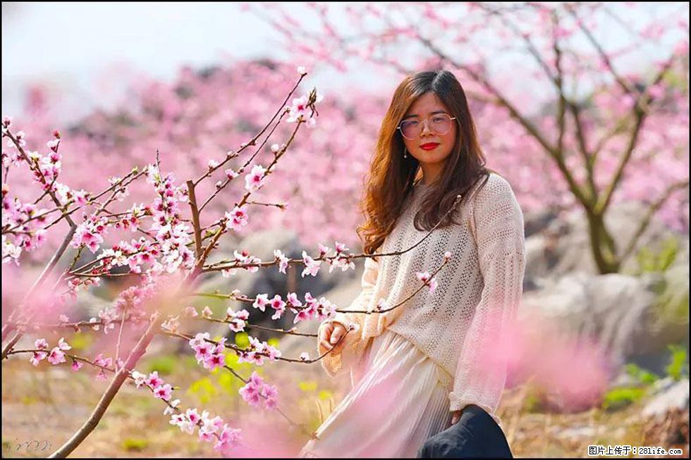 【春天，广西桂林灌阳县向您发出邀请！】望月岭上桃花开 - 游山玩水 - 阿克苏生活社区 - 阿克苏28生活网 aks.28life.com