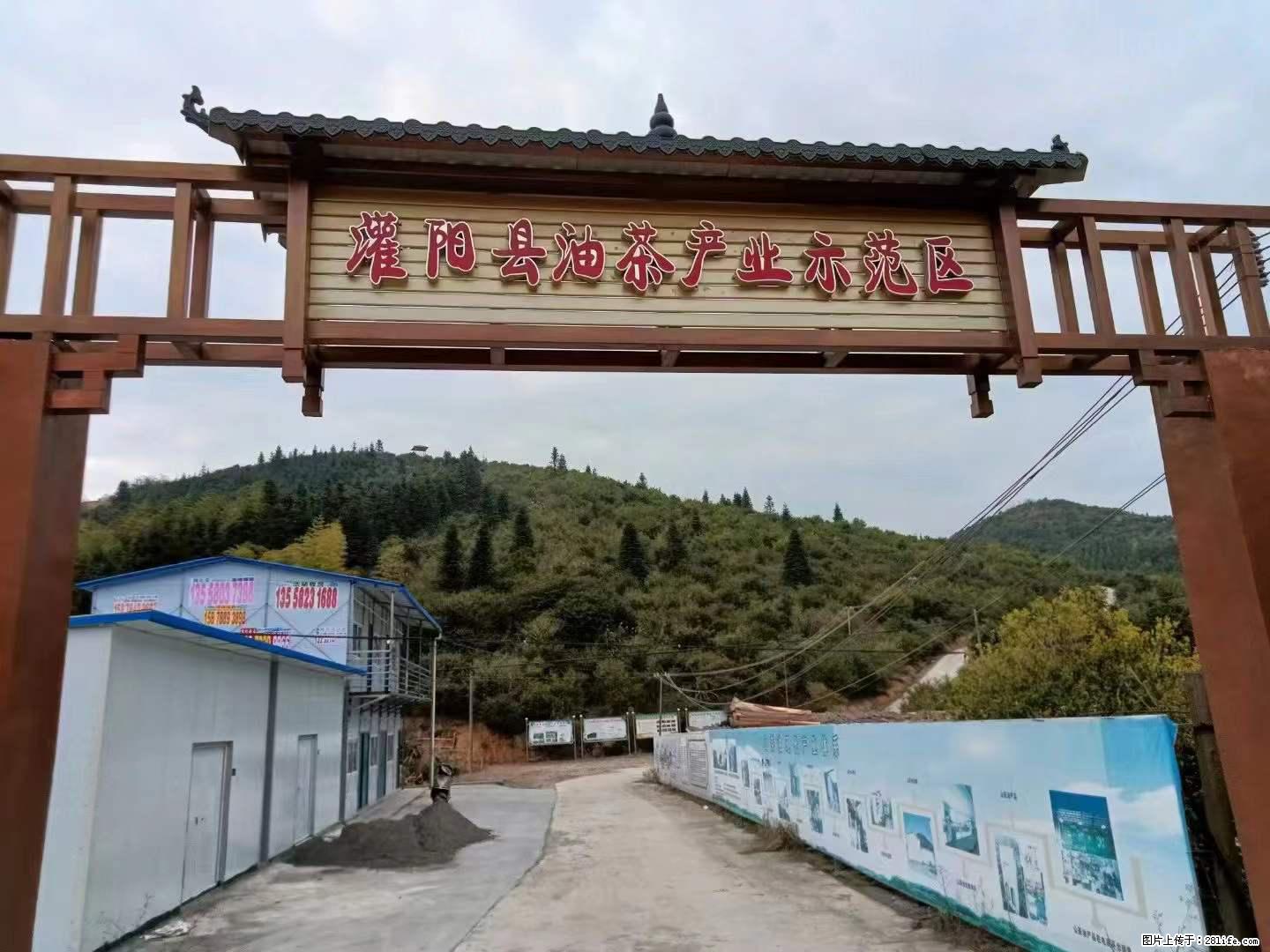 【灌阳县油茶产业示范区】一个有着充实的精神生活的人，对待身外之物自会有一种淡泊的态度 - 土特产 - 饮食特产 - 阿克苏分类信息 - 阿克苏28生活网 aks.28life.com