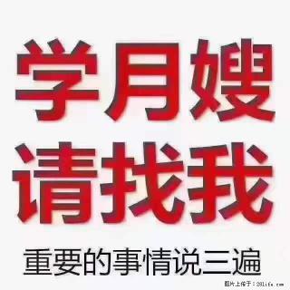为什么要学习月嫂，育婴师？ - 阿克苏28生活网 aks.28life.com