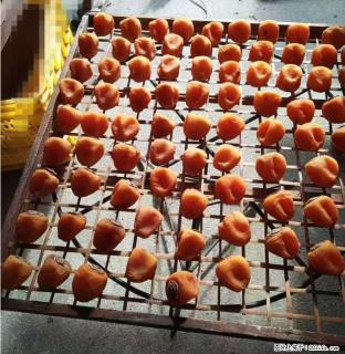 广西桂林平乐桥亭【柿饼之乡】2025年纯手工制作、无任何添加剂的第一批柿饼准备上市了，欢迎联系订购！ - 阿克苏28生活网 aks.28life.com