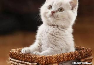 兴隆街华龙小区 单身公寓家具家电齐全出租 - 阿克苏28生活网 aks.28life.com