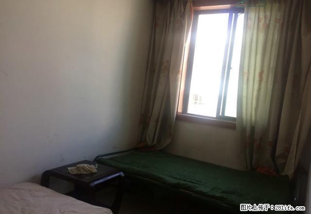 迎宾路农一师客运站对面五楼 合租房月租350季度付 - 房屋出租 - 房屋租售 - 阿克苏分类信息 - 阿克苏28生活网 aks.28life.com