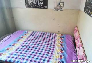 (单间出租)太白对面单间主卧出租4楼有网太白对面单间主卧出租4楼有网 - 阿克苏28生活网 aks.28life.com