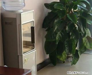 团结西路金鼎华府高层空房出租 可当办公室 美容室等 - 阿克苏28生活网 aks.28life.com