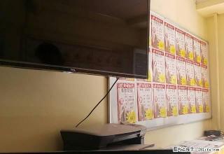 天百对面金桥现代城高层简装三室一厅年租1.4万 - 阿克苏28生活网 aks.28life.com