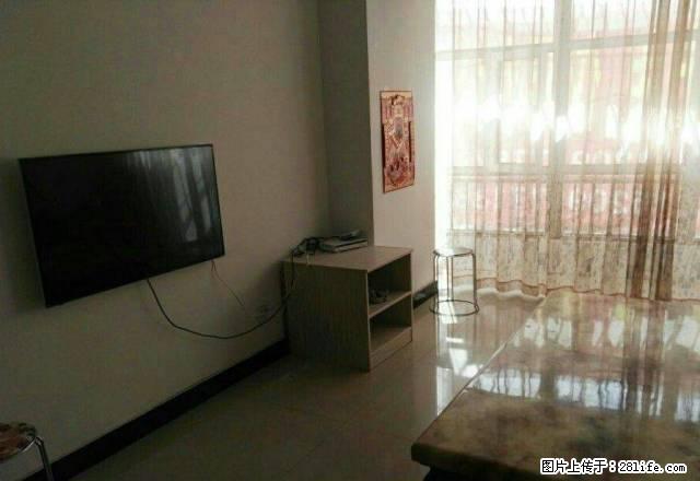 紫荆花园高层5楼电梯房整租干净整洁拎包入住 - 房屋出租 - 房屋租售 - 阿克苏分类信息 - 阿克苏28生活网 aks.28life.com