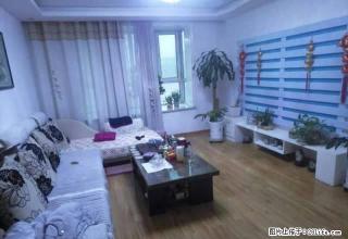 新华书店+新御华庭+精装+单身公寓+地暖+拎包入住 - 阿克苏28生活网 aks.28life.com