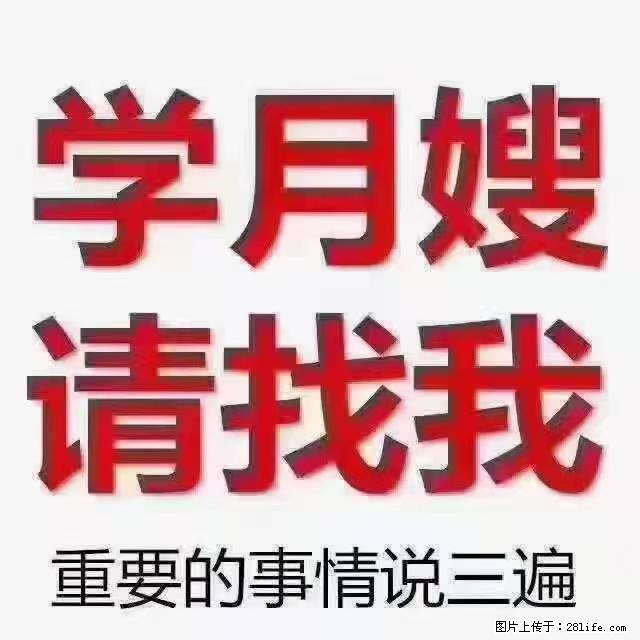 【招聘】月嫂，上海徐汇区 - 职场交流 - 阿克苏生活社区 - 阿克苏28生活网 aks.28life.com