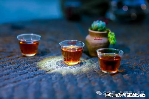 时间果百年古树2025年春红茶 - 购物交流 - 阿克苏生活社区 - 阿克苏28生活网 aks.28life.com