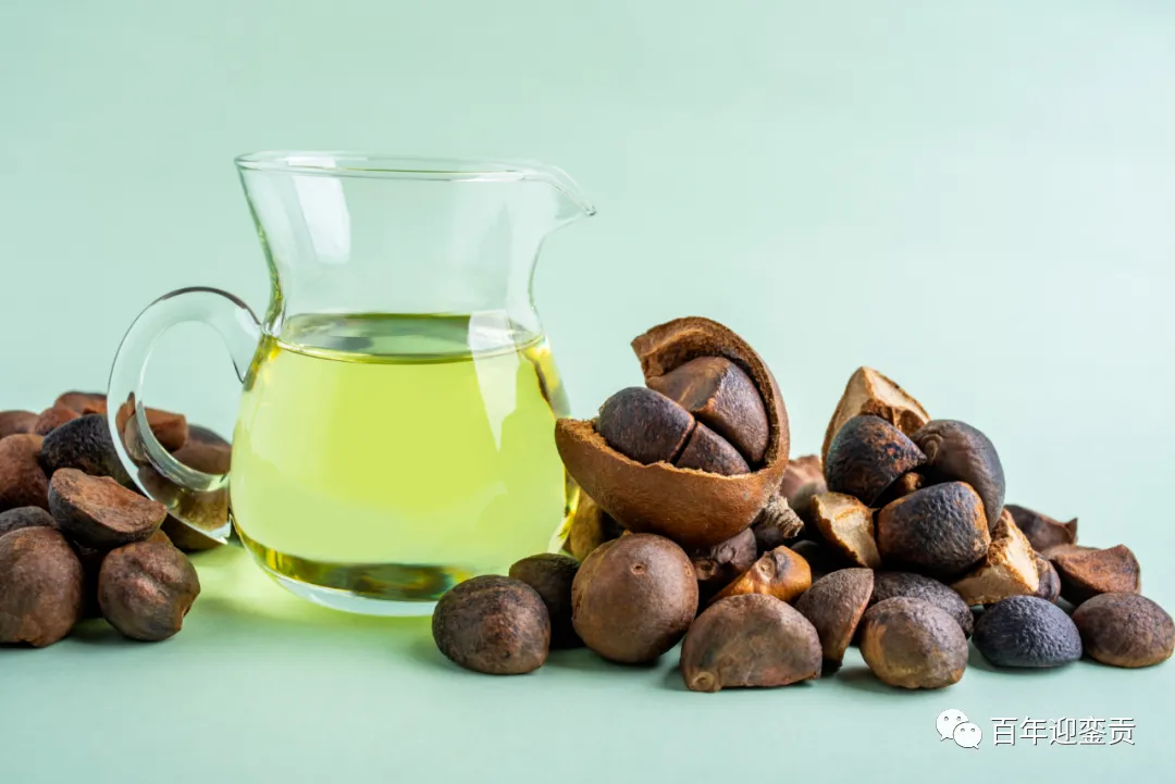 世界没有真相,只有认知,最好的食用油是中国的山茶油! - 阿克苏生活资讯 - 阿克苏28生活网 aks.28life.com