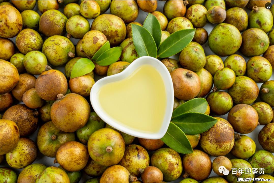 世界没有真相,只有认知,最好的食用油是中国的山茶油! - 阿克苏生活资讯 - 阿克苏28生活网 aks.28life.com