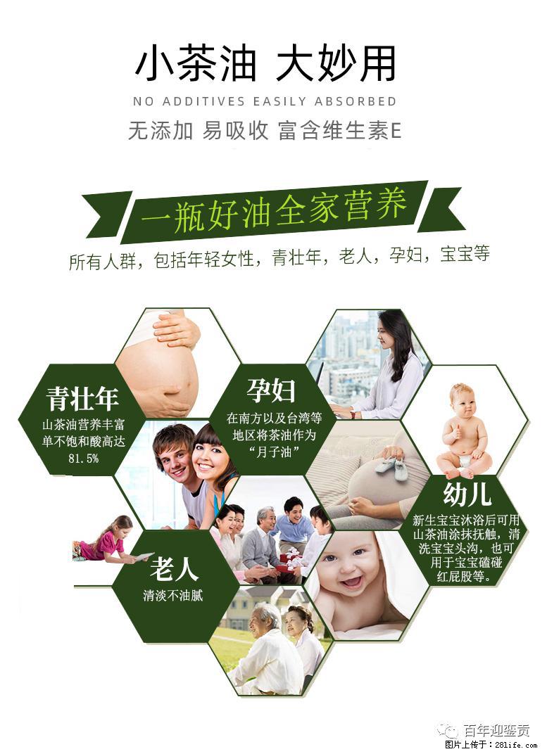 世界没有真相,只有认知,最好的食用油是中国的山茶油! - 阿克苏生活资讯 - 阿克苏28生活网 aks.28life.com