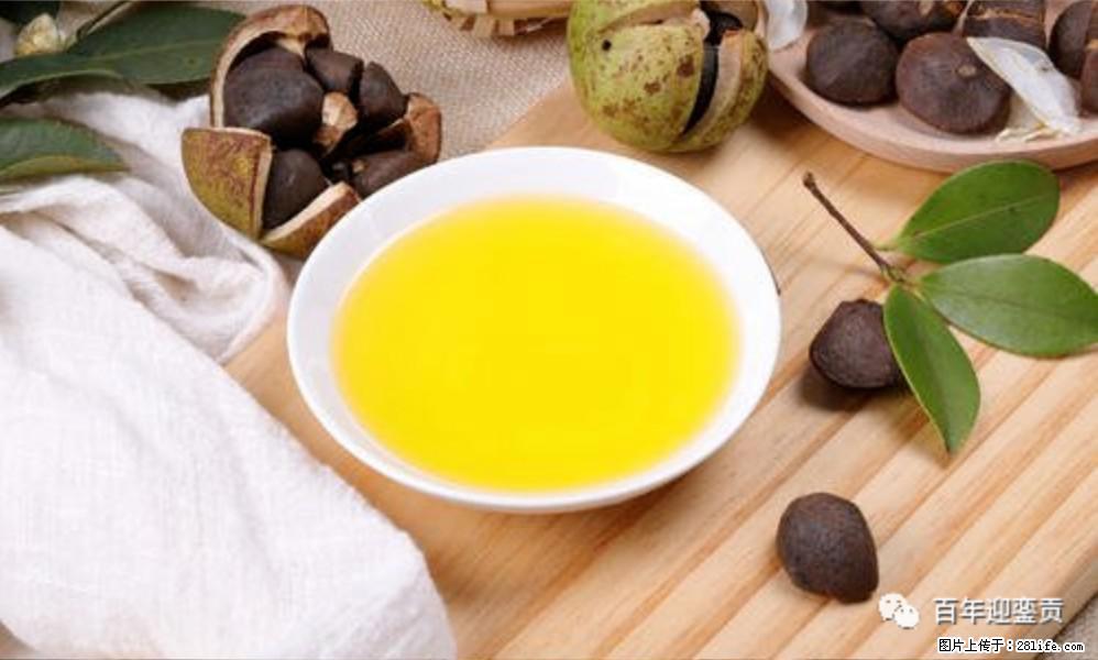 世界没有真相,只有认知,最好的食用油是中国的山茶油! - 阿克苏生活资讯 - 阿克苏28生活网 aks.28life.com