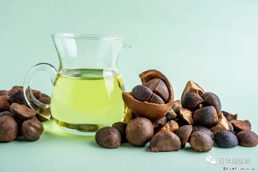 世界没有真相，只有认知，最好的食用油是中国的山茶油！ - 阿克苏生活资讯 - 阿克苏28生活网 aks.28life.com