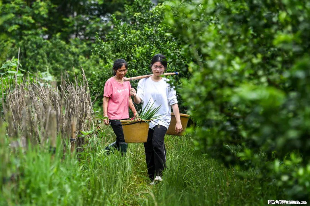 全网追的“扁担女孩”，找了一份暑假工，时薪12元 - 阿克苏生活资讯 - 阿克苏28生活网 aks.28life.com