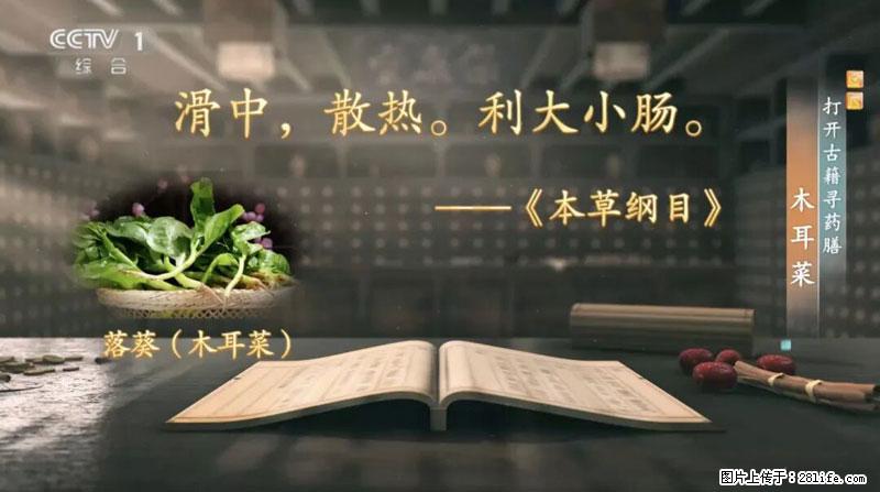 比牛奶补钙还厉害！凉血解毒、稳血糖...这菜冬天必吃，很多人却当草 - 阿克苏生活资讯 - 阿克苏28生活网 aks.28life.com