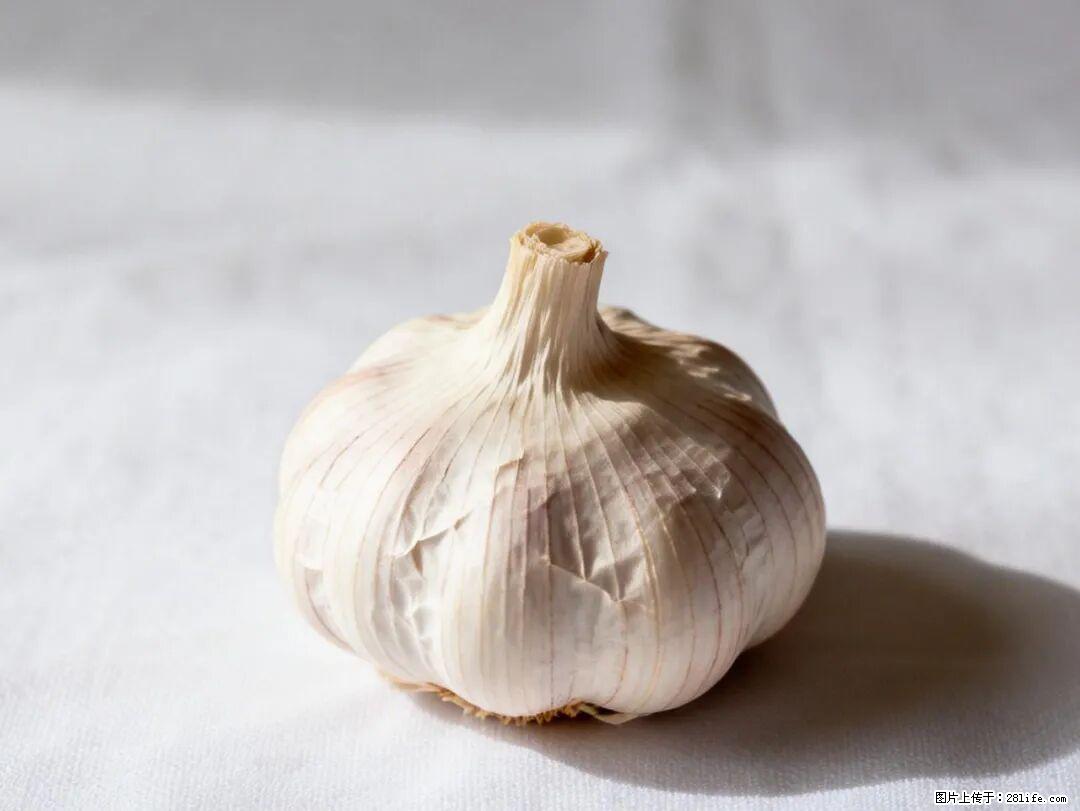 关于大蒜，除了“天然抗生素”，这4个谣言更该警惕! - 阿克苏生活资讯 - 阿克苏28生活网 aks.28life.com