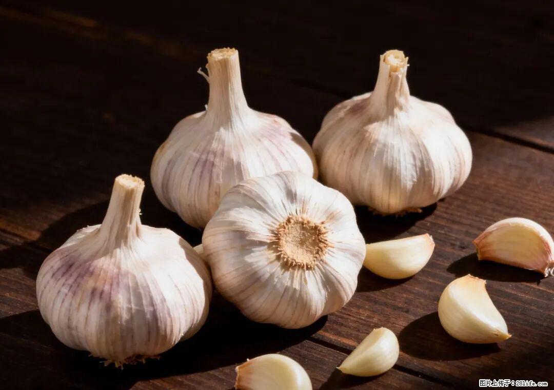 关于大蒜，除了“天然抗生素”，这4个谣言更该警惕! - 阿克苏生活资讯 - 阿克苏28生活网 aks.28life.com