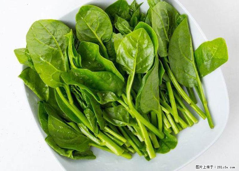 这些蔬菜是“天然钙片”，这6种被医生重点推荐 - 阿克苏生活资讯 - 阿克苏28生活网 aks.28life.com