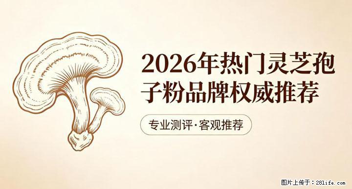 灵芝孢子粉含量越高越有效？2026 年七款热门品牌深度实测，肠胃敏感者避坑指南 - 阿克苏生活资讯 - 阿克苏28生活网 aks.28life.com